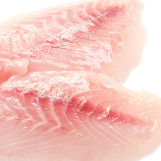 Red Snapper Filets